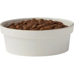 Frisco Gold Trim Melamine Dog & Cat Bowl -Frisco 253062 PT3. AC SS1800 V1616595685
