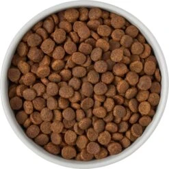 Frisco Ceramic Food Dog & Cat Bowl With Wood Base -Frisco 256043 PT6. AC SS1800 V1615311151