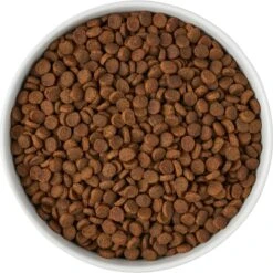 Frisco Paw Prints Non-skid Ceramic Bowl -Frisco 256072 PT5. AC SS1800 V1615312318