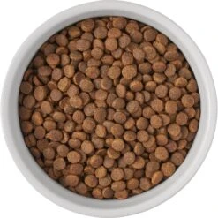 Frisco Bones Non-skid Ceramic Dog & Cat Bowl -Frisco 256074 PT5. AC SS1800 V1615312010