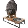 Frisco Wood Elevated Non-Skid Stainless Steel Double Diner Dog & Cat Bowl 1 Frisco Wood Elevated Non-Skid Stainless Steel Double Diner Dog & Cat Bowl -Frisco 257143 MAIN. AC SS1800 V1615913797