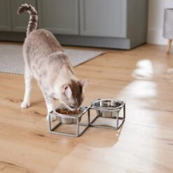 Frisco Elevated Diamond Stainless Steel Double Diner Dog & Cat Bowl -Frisco 257147 PT5. AC SS1800 V1615989105