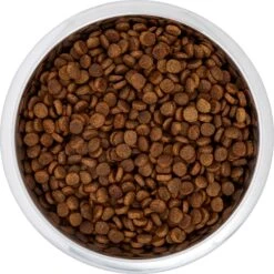 Frisco Black Iron Non-Skid Stainless Steel Dog & Cat Bowl 14 Frisco Black Iron Non-Skid Stainless Steel Dog & Cat Bowl -Frisco 257152 PT4. AC SS1800 V1615311427