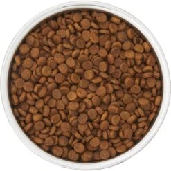 Frisco Insulated Two-Toned Non-Skid Stainless Steel Dog & Cat Bowl -Frisco 257168 PT4. AC SS1800 V1612367255