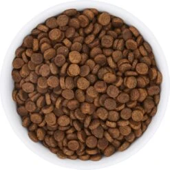 Frisco Bohemian Non-Skid Stainless Steel Dog & Cat Bowl -Frisco 257195 PT4. AC SS1800 V1615311089