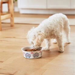 Frisco Bohemian Non-Skid Stainless Steel Dog & Cat Bowl -Frisco 257195 PT8. AC SS1800 V1615932115