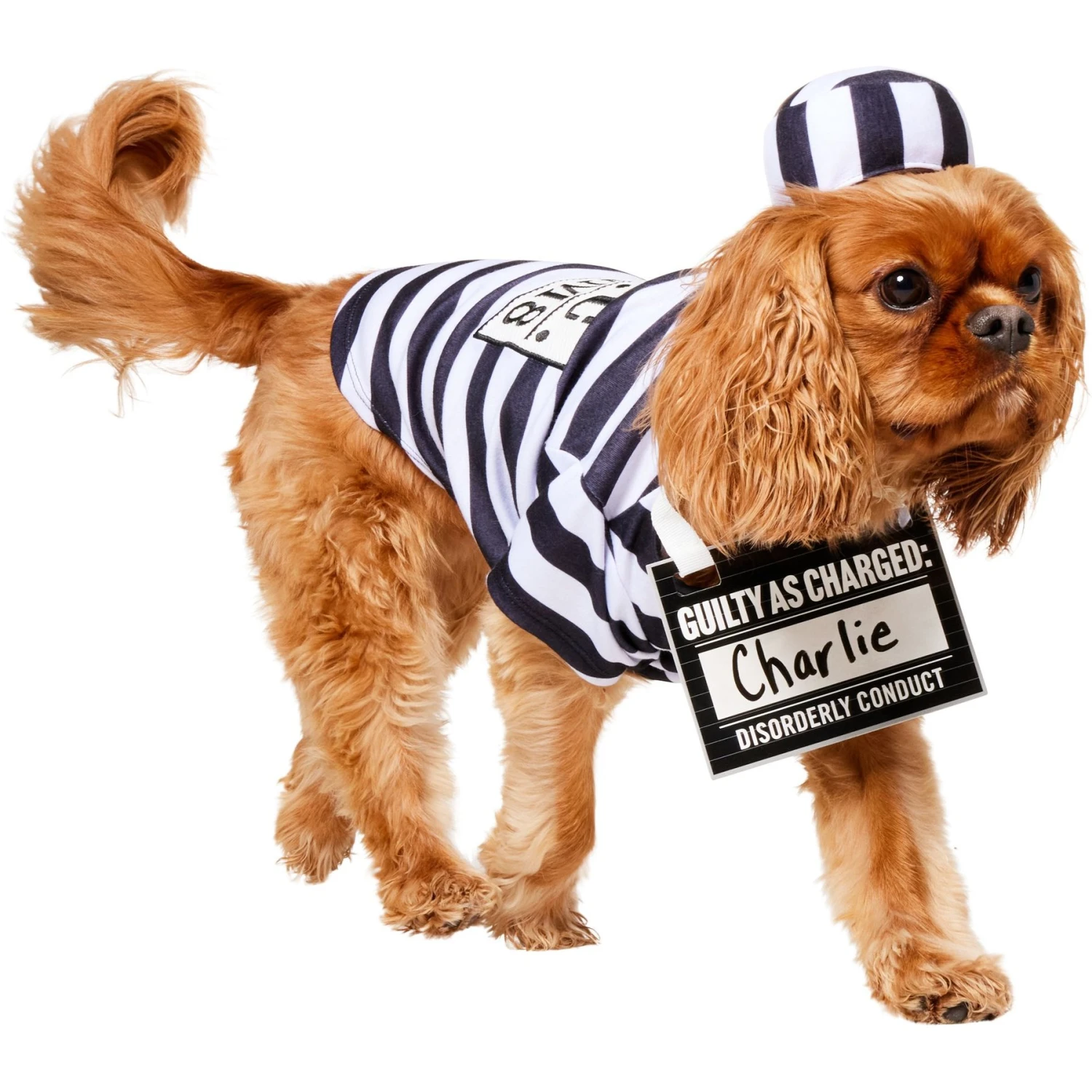 Frisco Prisoner Dog & Cat Costume 3 Frisco Prisoner Dog & Cat Costume