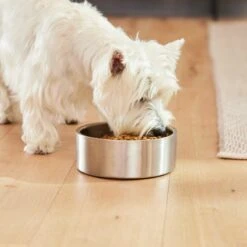 Frisco Insulated Non-Skid Flair Stainless Steel Dog & Cat Bowl -Frisco 261753 PT8. AC SS1800 V1623937545
