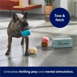 Frisco Macaron Interactive Plush Squeaky Dog Toy -Frisco 264438 PT5. AC SS1800 V1686579089