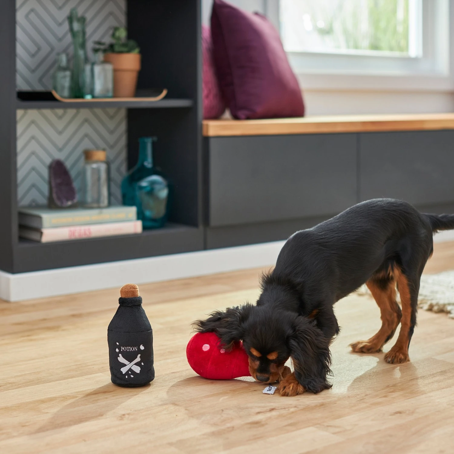 Frisco Magic Potions Plush Squeaky Dog Toy 5 Frisco Magic Potions Plush Squeaky Dog Toy - Image 3