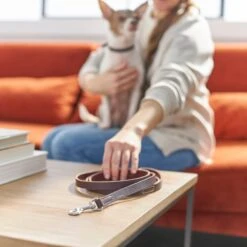 Frisco Top Grain Leather Leash 7 Frisco Top Grain Leather Leash -Frisco 266521 PT3. AC SS1800 V1619536628