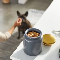 Frisco Modern Gold Rim Ceramic Treat Jar -Frisco 270190 PT2. AC SS1800 V1620762371