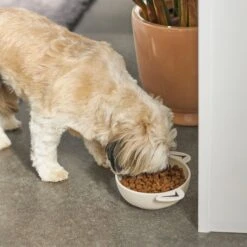 Frisco Dog Face Non-skid Ceramic Cat & Dog Bowl 10 Frisco Dog Face Non-skid Ceramic Cat & Dog Bowl -Frisco 270226 PT2. AC SS1800 V1620762156