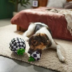 Frisco Halloween Fancy Pumpkin 2-in-1 Plush Squeaky Dog Toy -Frisco 270359 PT3. AC SS1800 V1624817665