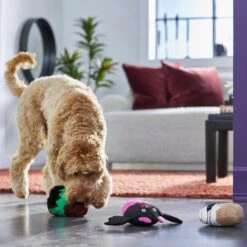 Frisco Halloween Cupcakes Plush Squeaky Dog Toy 9 Frisco Halloween Cupcakes Plush Squeaky Dog Toy -Frisco 270367 PT3. AC SS1800 V1624817674