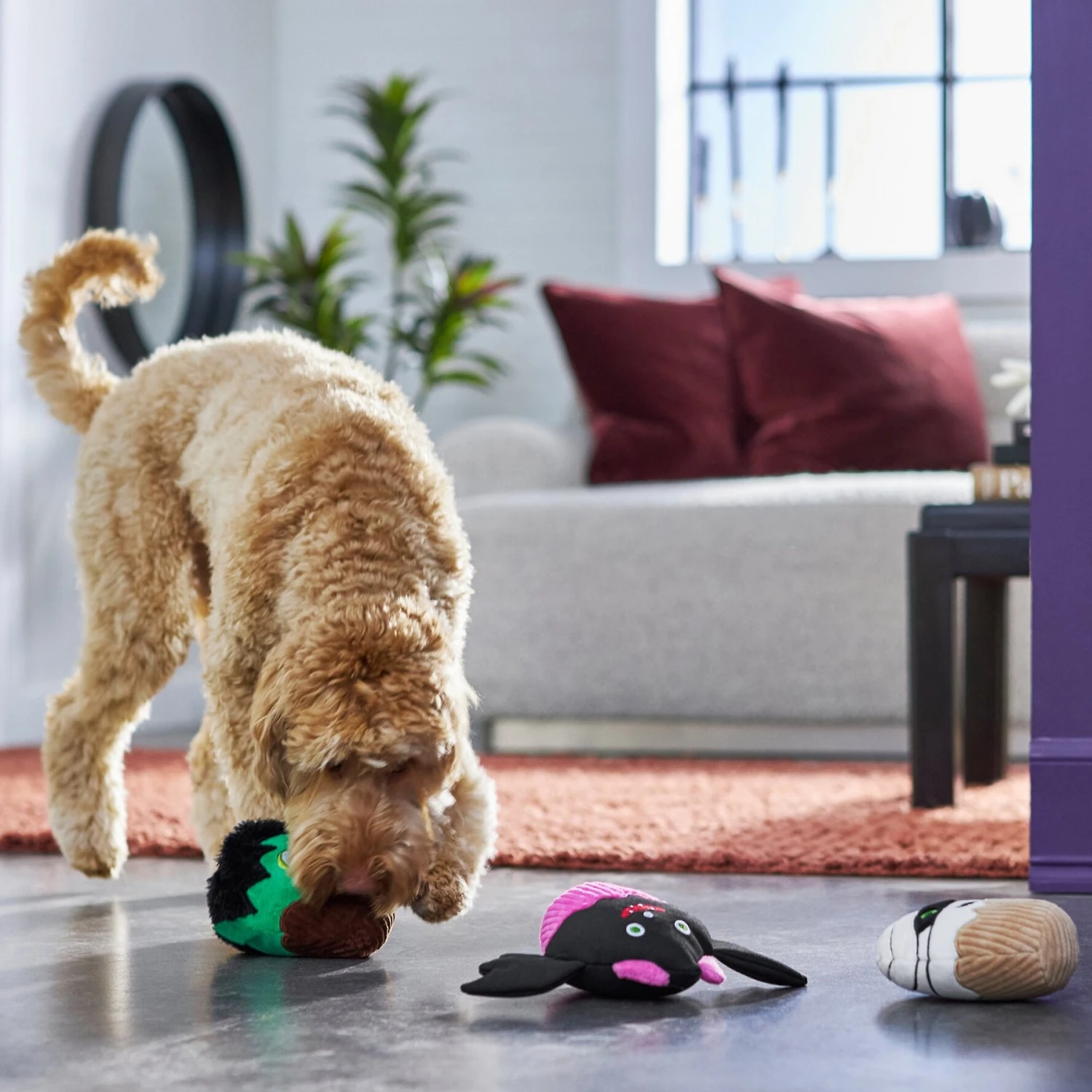 Frisco Halloween Cupcakes Plush Squeaky Dog Toy 5 Frisco Halloween Cupcakes Plush Squeaky Dog Toy - Image 3