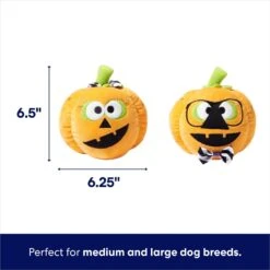 Frisco Halloween Nerdy Jack-o-Lanterns Plush Squeaky Dog Toy 8 Frisco Halloween Nerdy Jack-o-Lanterns Plush Squeaky Dog Toy -Frisco 270431 PT1. AC SS1800 V1689873074