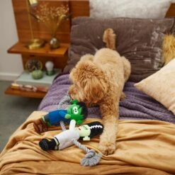 Frisco Halloween Frankenstein & Bride Plush With Rope Squeaky Dog Toy -Frisco 270496 PT3. AC SS1800 V1624824775