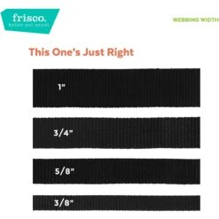 Frisco Solid Nylon Personalized Dog Leash -Frisco 270716 PT3. AC SS1800 V1628029072