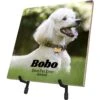 Frisco Personalized Basic Ceramic Photo Tile With Stand -Frisco 271227 MAIN. AC SS1800 V1619197918