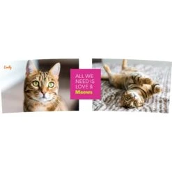 Frisco "Classic" Double Walled Personalized Tumbler. 30-oz 8 Frisco "Classic" Double Walled Personalized Tumbler. 30-oz -Frisco 272541 PT2. AC SS1800 V1625686095