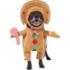 Frisco Front Walking Gingerbread Dog & Cat Costume -Frisco 276156 MAIN. AC SS1800 V1631659697