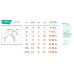 Frisco Holiday Giftbox Dog & Cat Costume -Frisco 276175 PT1. AC SS1800 V1631916677