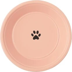 Frisco Elevated Non-skid Stainless Steel Dog & Cat Bowl -Frisco 277523 PT4. AC SS1800 V1627934801