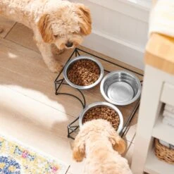 Frisco Multi Pet Feeding Corner 3-Bowls Stainless Steel Dog & Cat Bowl 10 Frisco Multi Pet Feeding Corner 3-Bowls Stainless Steel Dog & Cat Bowl -Frisco 277561 PT2. AC SS1800 V1630346973