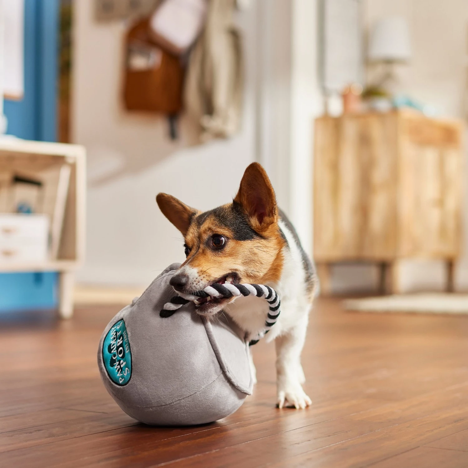 Frisco Football Helmet Plush With Rope Squeaky Dog Toy 5 Frisco Football Helmet Plush With Rope Squeaky Dog Toy - Image 3