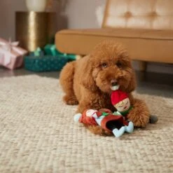 Frisco Holiday Carolers Plush Squeaky Dog Toy, 3 Count -Frisco 287169 PT3. AC SS1800 V1632774907