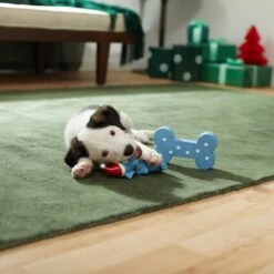 Frisco Blue Bundle Latex Squeaky Puppy Toy, 2 Count -Frisco 287185 PT3. AC SS1800 V1632775643