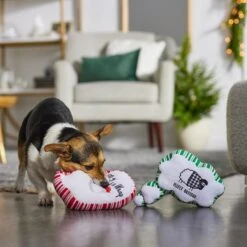 Frisco Holiday Thought Bubble Plush Squeaky Dog Toy, 2 Count 7 Frisco Holiday Thought Bubble Plush Squeaky Dog Toy, 2 Count -Frisco 287195 PT3. AC SS1800 V1632772983