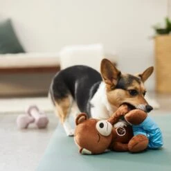 Frisco Yoga Bear Plush Squeaky Dog Toy -Frisco 288903 PT3. AC SS1800 V1638288516