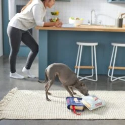 Frisco Cookbooks Plush Squeaky Dog Toy, 2 Count -Frisco 288937 PT3. AC SS1800 V1638287852