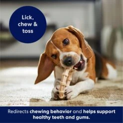 Frisco Ring Tough Nylon Chew Dog Toy, Chicken Flavor 12 Frisco Ring Tough Nylon Chew Dog Toy, Chicken Flavor -Frisco 290533 PT4. AC SS1800 V1695760990