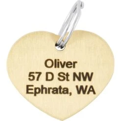Frisco Brass Personalized Dog & Cat ID Tag, Heart -Frisco 296197 PT4. AC SS1800 V1628186527