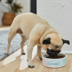 Frisco Watercolors Ceramic Personalized Dog Bowl -Frisco 296664 PT2. AC SS1800 V1625764663