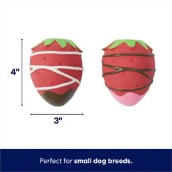 Frisco Valentine Chocolate Covered Strawberries Latex Squeaky Dog Toy 7 Frisco Valentine Chocolate Covered Strawberries Latex Squeaky Dog Toy -Frisco 298923 PT1. AC SS1800 V1701365172