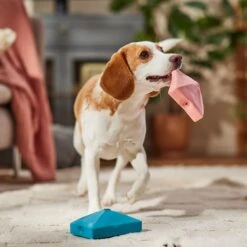 Frisco Valentine Love Letters Latex Squeaky Dog Toy 8 Frisco Valentine Love Letters Latex Squeaky Dog Toy -Frisco 298925 PT3. AC SS1800 V1701365173