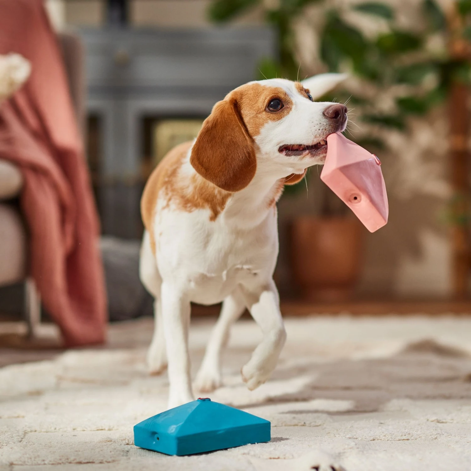 Frisco Valentine Love Letters Latex Squeaky Dog Toy 5 Frisco Valentine Love Letters Latex Squeaky Dog Toy - Image 3