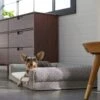 Frisco Boho Modern Couch Dog & Cat Bed 2 Frisco Boho Modern Couch Dog & Cat Bed -Frisco 299392 MAIN. AC SS1800 V1638288742