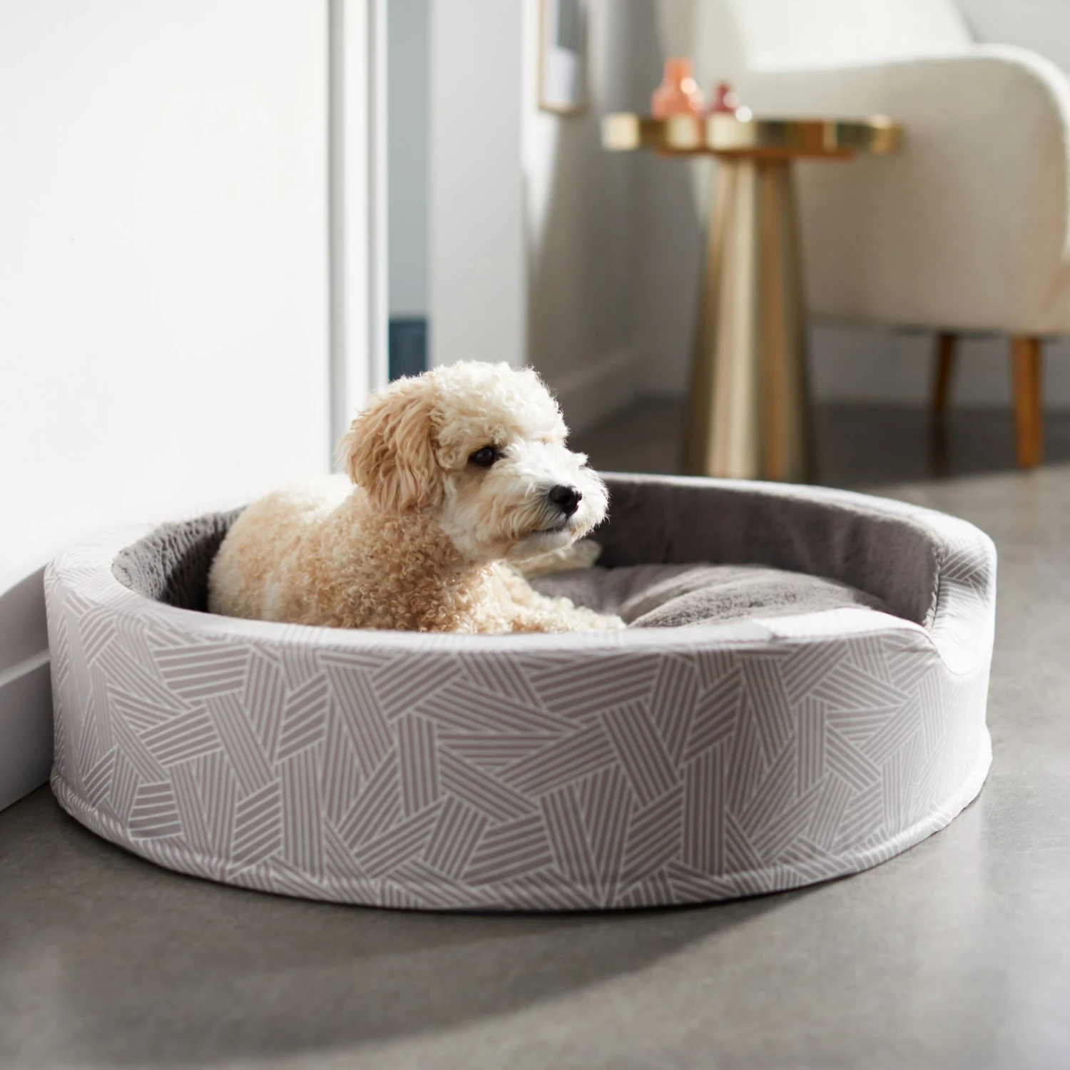 Frisco Ortho Cuddler Dog & Cat Bed 3 Frisco Ortho Cuddler Dog & Cat Bed