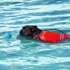 Frisco Ripstop Dog Life Jacket & Frisco Foam Rubber Floating Fetch Ball No Squeak Dog Toy 17 Frisco Ripstop Dog Life Jacket & Frisco Foam Rubber Floating Fetch Ball No Squeak Dog Toy -Frisco 303546 PT7. AC SS1800 V1623068257