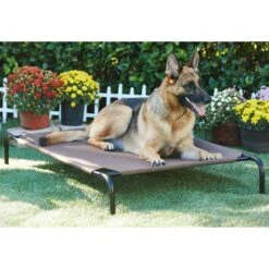 Frisco Replacement Cover For Steel-Framed Elevated Dog Bed & Frisco Steel-Framed Elevated Dog Bed 13 Frisco Replacement Cover For Steel-Framed Elevated Dog Bed & Frisco Steel-Framed Elevated Dog Bed -Frisco 303624 PT5. AC SS1800 V1623084445