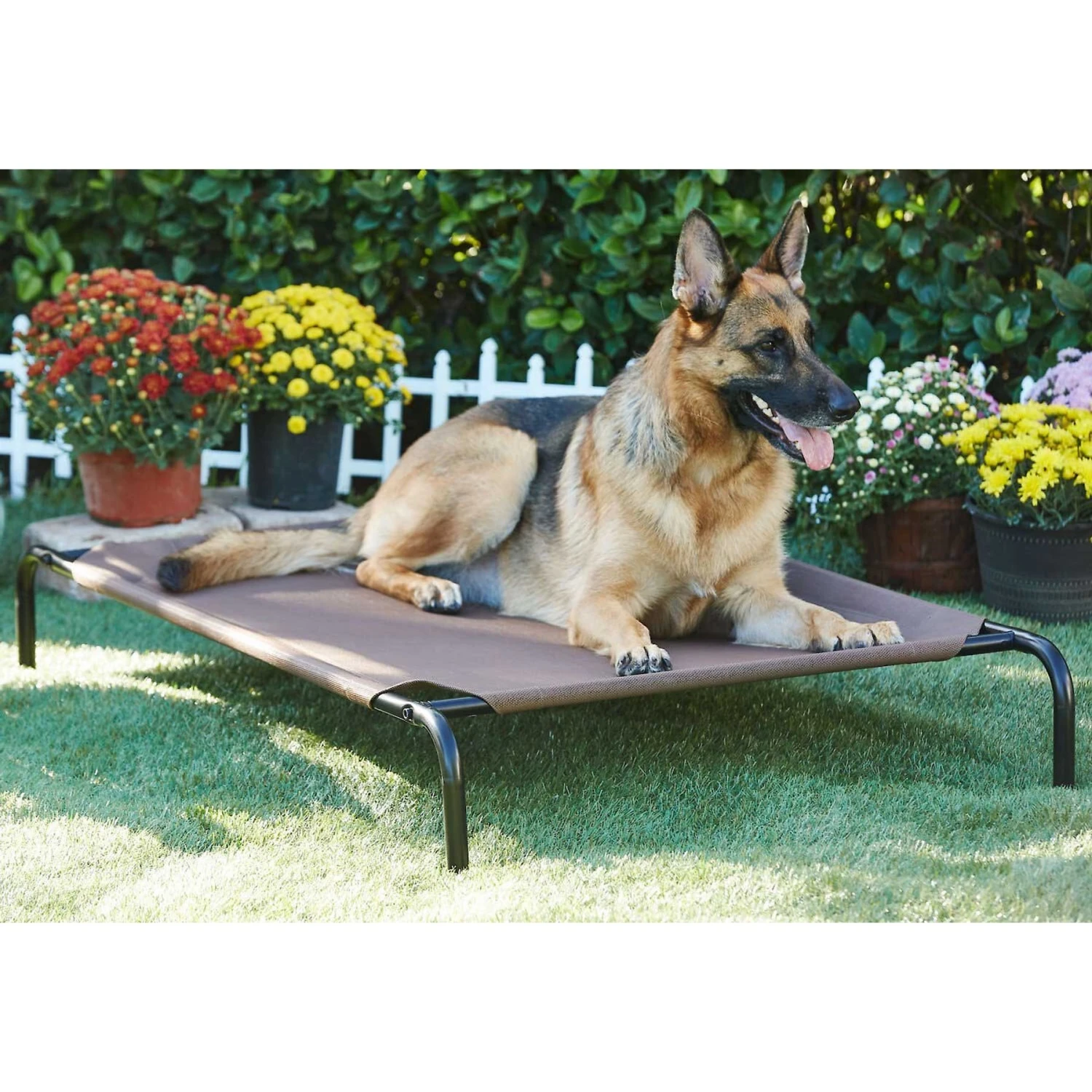 Frisco Replacement Cover For Steel-Framed Elevated Dog Bed & Frisco Steel-Framed Elevated Dog Bed 8 Frisco Replacement Cover For Steel-Framed Elevated Dog Bed & Frisco Steel-Framed Elevated Dog Bed - Image 6