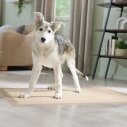 Frisco Giant Eco-Conscious Dog Training & Potty Pads -Frisco 309794 PT6. AC SS1800 V1674666971