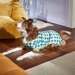 Frisco Boho Gingham Dog & Cat PJs -Frisco 312272 PT8. AC SS1800 V1644880063