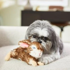 Frisco Realistic Plush Rabbit Plush Dog Toy, Small 6 Frisco Realistic Plush Rabbit Plush Dog Toy, Small -Frisco 316933 PT2. AC SS1800 V1641400634