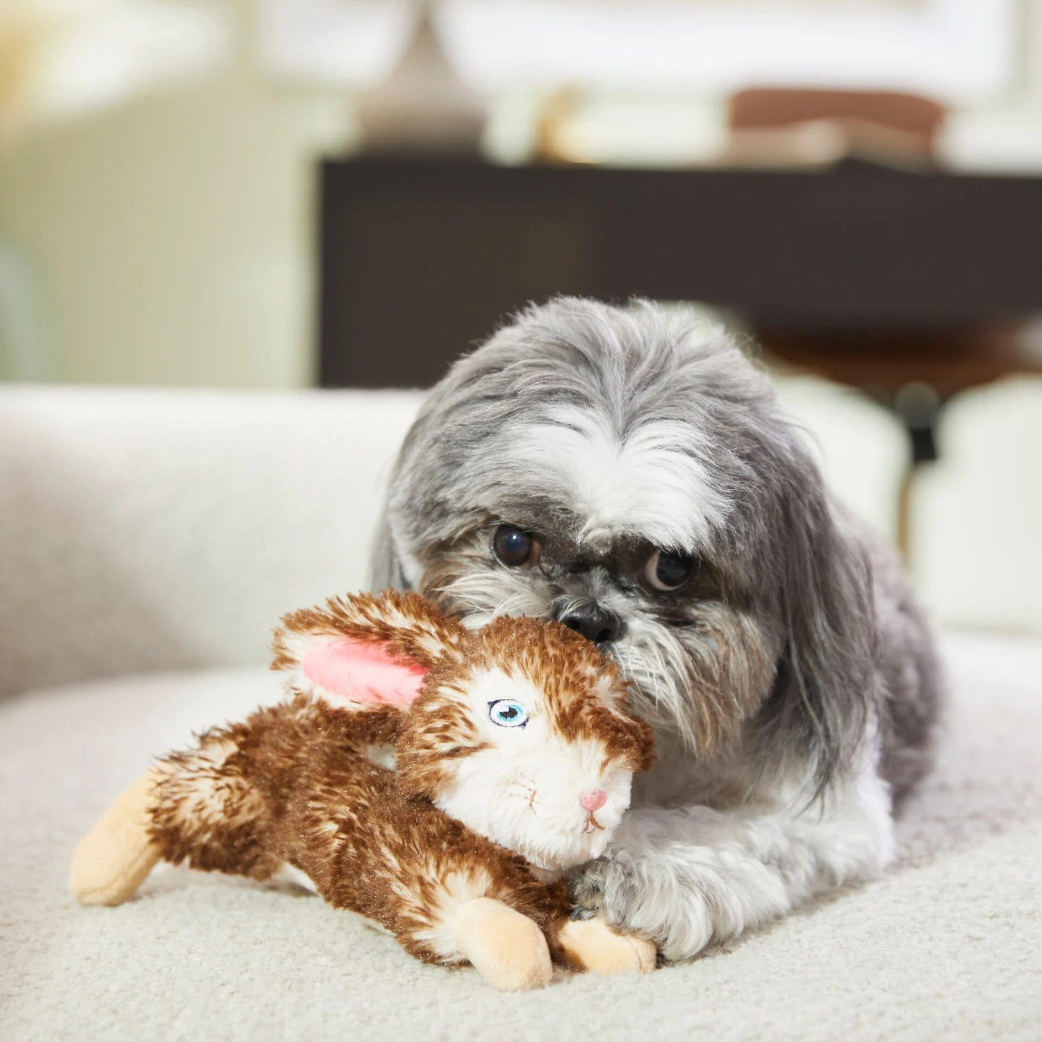 Frisco Realistic Plush Rabbit Plush Dog Toy, Small 4 Frisco Realistic Plush Rabbit Plush Dog Toy, Small - Image 3